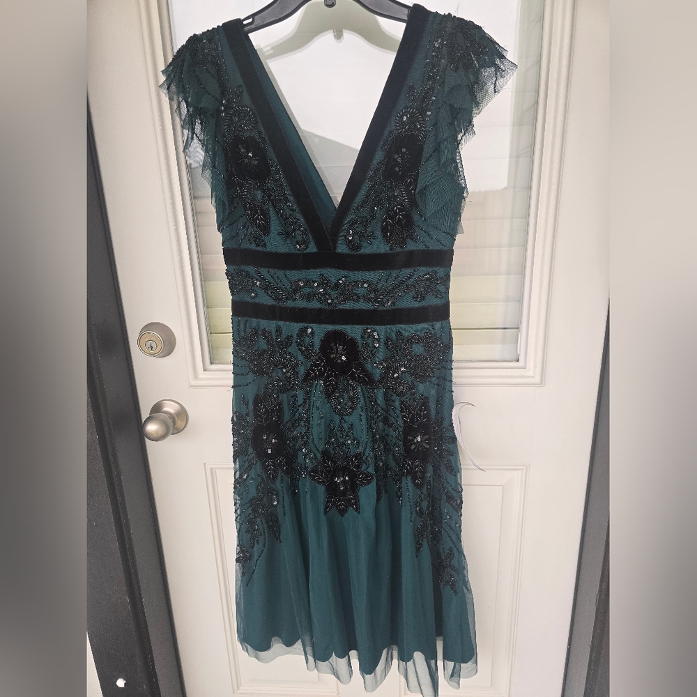 $799 Adrianna Papell Velvet-Trim Embellished Midi Bead Mesh Dress Sz 2 Old Money - Picture 5 of 16